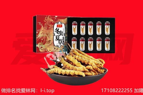 通州区回收虫草.jpg